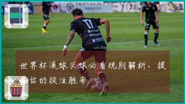 世界杯滚球买球必看规则解析，提升你的投注胜率