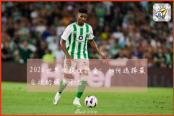 2026世界杯投注指南：如何选择最合适的娱乐平台