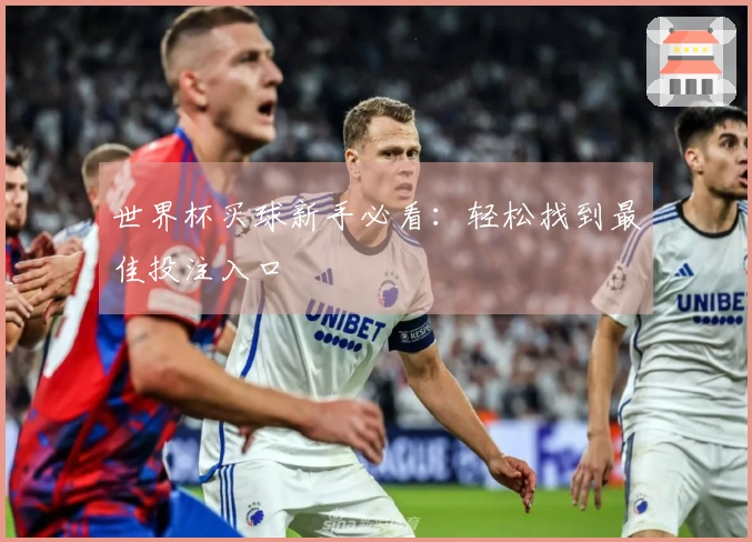 世界杯买球新手必看：轻松找到最佳投注入口