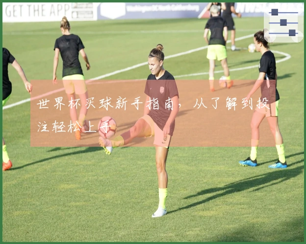 世界杯买球新手指南,从了解到投注轻松上手