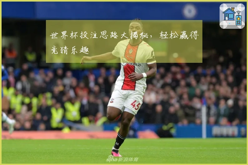 世界杯投注思路大揭秘，轻松赢得竞猜乐趣