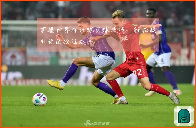 掌握世界杯让球买球技巧，轻松提升你的投注水平