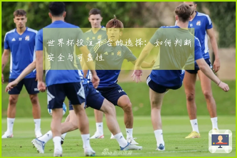 世界杯投注平台的选择：如何判断安全与可靠性