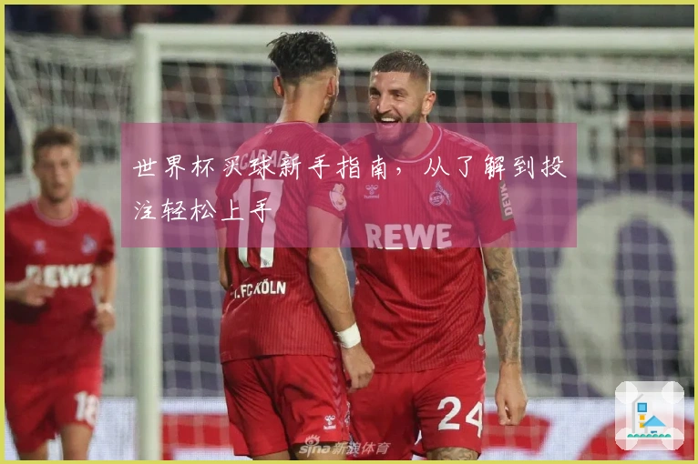 世界杯买球新手指南，从了解到投注轻松上手