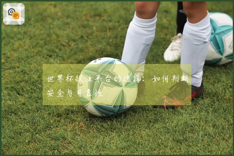 世界杯投注平台的选择：如何判断安全与可靠性