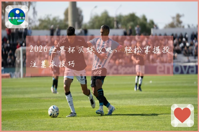 2026世界杯买球攻略，轻松掌握投注基本技巧