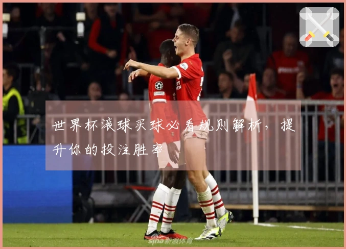 世界杯滚球买球必看规则解析，提升你的投注胜率