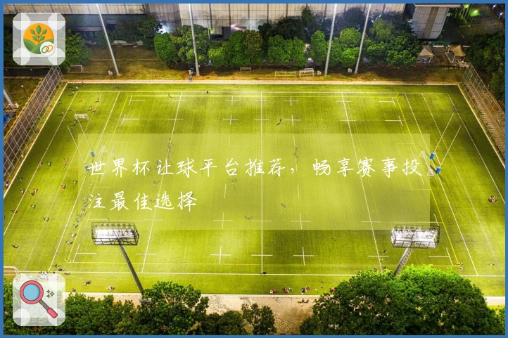 世界杯让球平台推荐，畅享赛事投注最佳选择