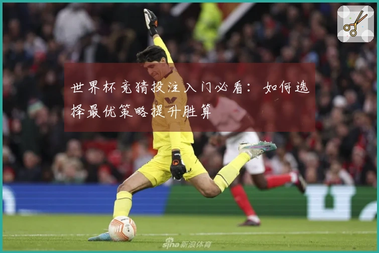 世界杯竞猜投注入门必看：如何选择最优策略提升胜算