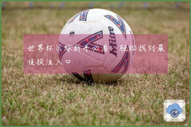 世界杯买球新手必看：轻松找到最佳投注入口