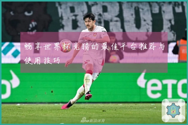 畅享世界杯竞猜的最佳平台推荐与使用技巧